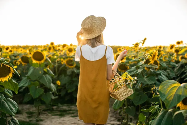 Bir kadın elinde bir sepet çiçekle ayçiçeği tarlasında yürüyor. O, elinde bir hasır şapka tutuyor. Gün batımı. Arkadan ateş ediyorlar..