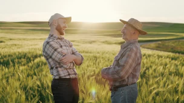 Ένας άντρας μιλάει συναισθηματικά σε έναν γέρο αγρότη. Χαμογελάνε. Στέκονται κοντά σε ένα χωράφι με σιτάρι. Ηλιοβασίλεμα στο βάθος. 4K — Αρχείο Βίντεο