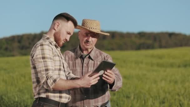 Mężczyzna pokazuje starą informację rolnika na tabliczce. Wskazuje na pole bitwy. Rozmawiają o żniwach. Stary farmer nosi kapelusz. 4K — Wideo stockowe