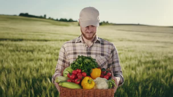 畑の近くに農家が立ち、畑から野菜のバスケットを持っています。彼は頭を上げてカメラを見ている。バスケットには新鮮な野菜やハーブが入っています。4K — ストック動画