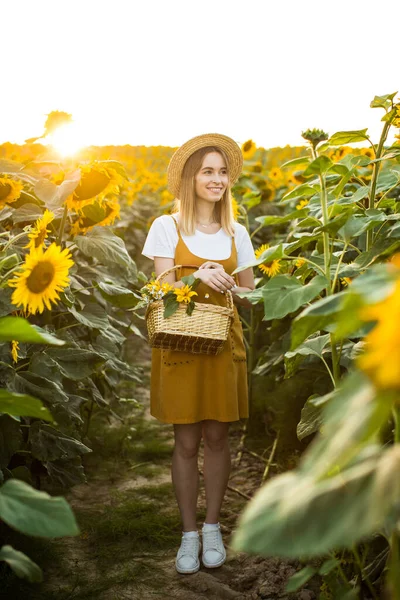 Gülümseyen bir kadın bir sepet çiçek taşıyor. Ayçiçeği tarlasında duruyor ve gülümsüyor. Gün batımı.