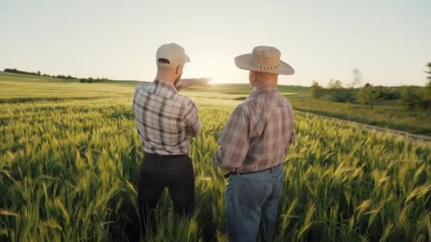 Два фермера стоят посреди поля и говорят о жатве. Они указывают на поле своими руками. Камера движется слева направо. Закат на заднем плане. 4K — стоковое видео
