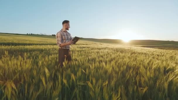 Молодой фермер стоит посреди пшеничного поля и работает над планшетом. Он поворачивается и смотрит на закат. Камера приближается к нему. 4K — стоковое видео