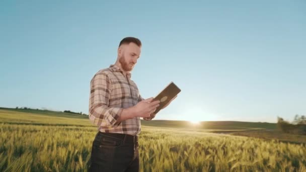 Een jonge boer staat midden op een tarweveld en werkt aan een tablet. Hij voert gegevens in op de tablet. Hij draait zich om en kijkt naar de zonsondergang. Portret schieten. 4K — Stockvideo