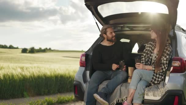 Pár beszél és mosolyog nyitott autó csomagtartóban a zöld mezőn — Stock videók