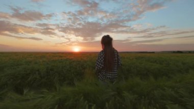 Kadın sahada duruyor ve yaz günbatımının tadını çıkarıyor.