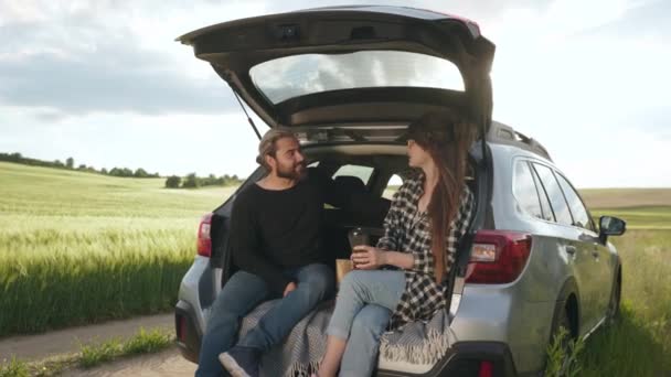 Couple sitting in car trunk while resting among field — Stockvideo