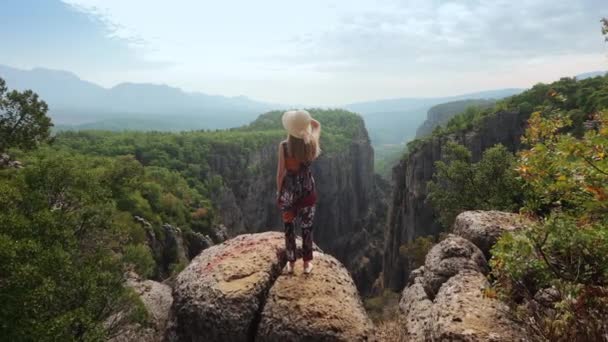 Pohled na ženu stojící na vrcholku vysoké skály — Stock video
