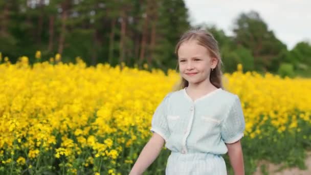 Güneşli Yaz Günlerinde Vahşi Tarlalarda Yürüyen Doğal Sarı Saçlı Sevimli — Stok video