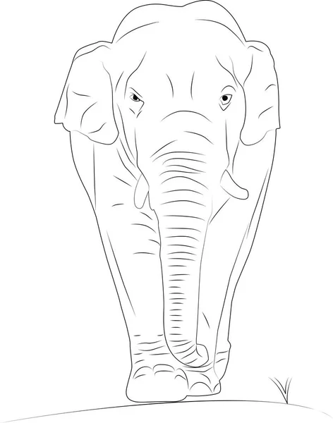 Vector Illustratie Van Een Schattige Olifant — Stockvector