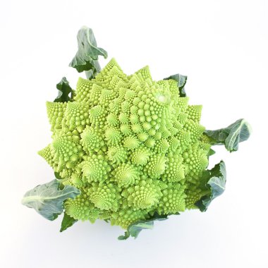 romanescu (brassica oleracea). Roma karnabahar. romanesco brokoli lahana beyaz zemin üzerine izole.