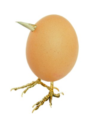 insan kafatası ayna görüntüsü ile