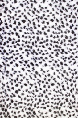 leopar kürkü dokusuna
