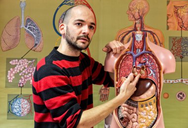 Biyoloji öğretmeni gösteren insan gövde modeli