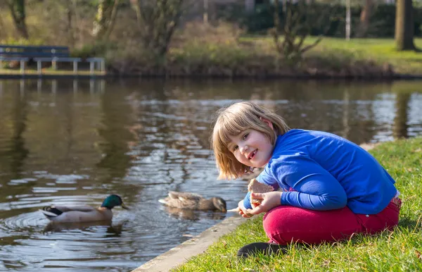 Chica joven alimentando patos con pan — Foto de Stock