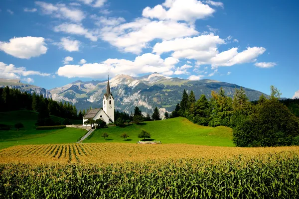 Erba fresca verde nei campi alpini che circondano un piccolo villaggio con una bella chiesa . — Foto Stock