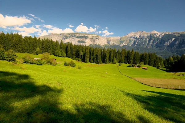 Świeża trawa zielona alpejskiej łące otoczony przez wysokie góry. — Zdjęcie stockowe