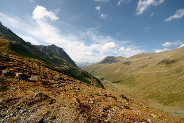 Tráva alpské louce obklopené vysokými horami ve švýcarských Alpách, Švýcarsko. — Stock fotografie
