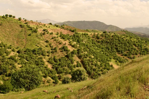 Irackich górach w autonomicznym regionie Kurdystanu w pobliżu iran — Zdjęcie stockowe