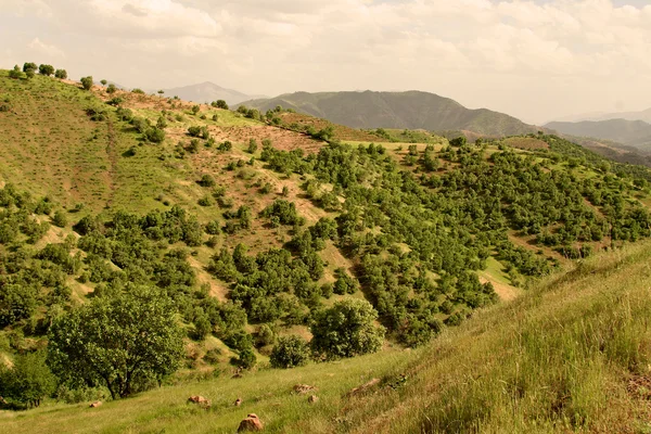 Iraqi mountains in autonomous Kurdistan region near Iran — Stock Photo, Image