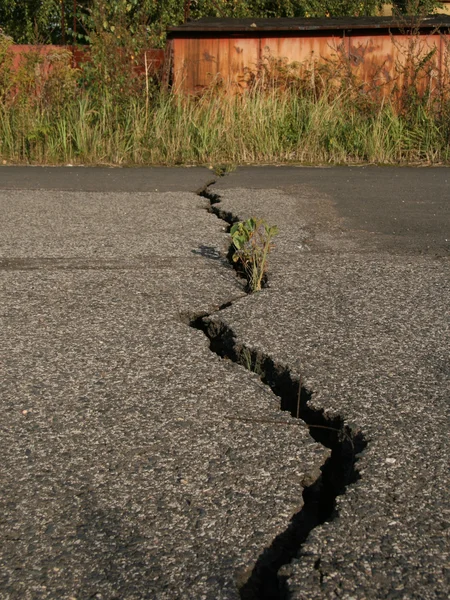 Cracked road Royalty Free Stock Photos