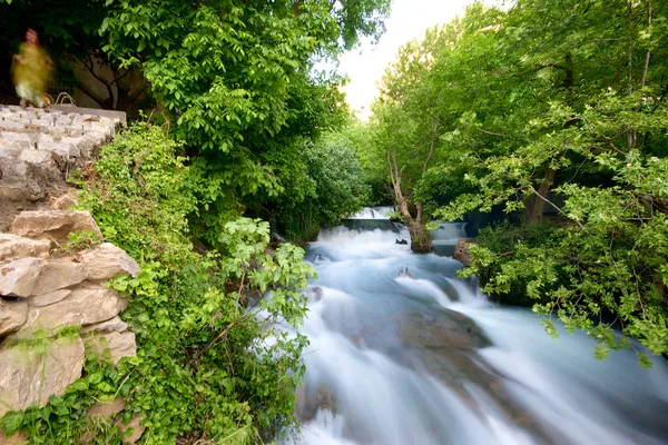 Khurmal Forrest e corredeiras fluviais em montanhas do Curdistão Iraque autônomo — Fotografia de Stock