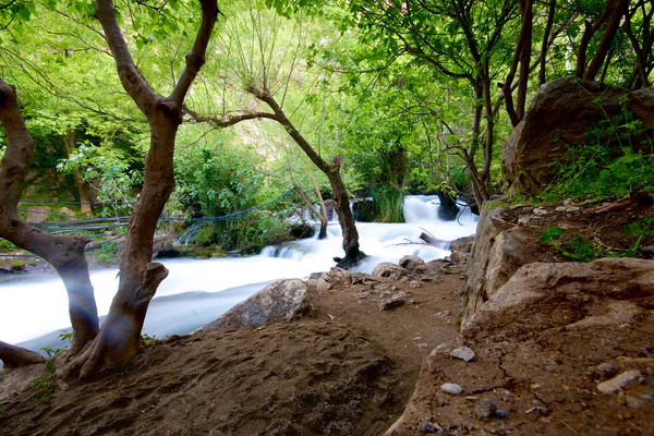 Khurmal Форрест в горах автономного району Курдистан поблизу Ірану — стокове фото