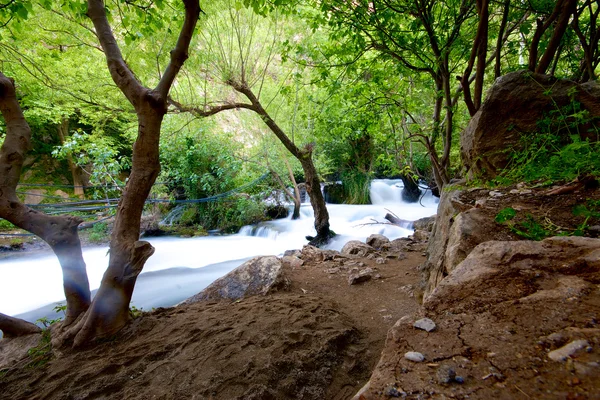 Khurmal forrest v horách autonomní oblasti Kurdistánu nedaleko Íránu — Stock fotografie