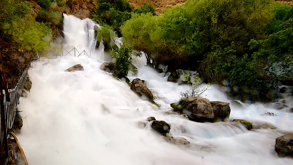 Khurmal Forrest nelle montagne della regione autonoma del Kurdistan vicino all'Iran — Foto Stock