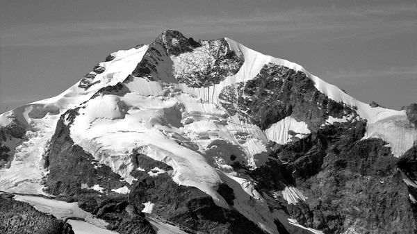 Piz bernina czarno-białe zdjęcie, Alpy Szwajcarskie — Zdjęcie stockowe