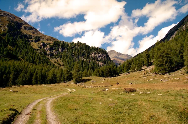 Alpské údolí z stopu. pěší turistika ve švýcarských Alpách — Stock fotografie
