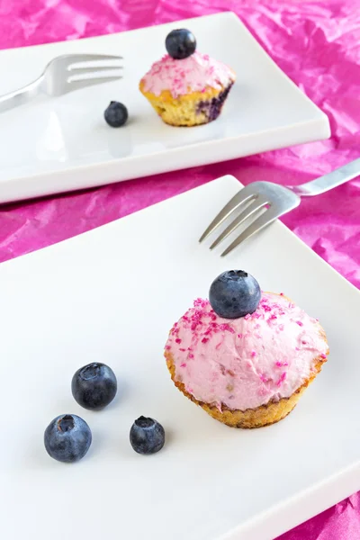 Pink blueberry lemon cupcakes — Stock Photo, Image