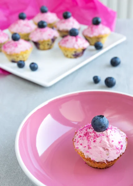Pink blueberry lemon cupcakes — Stock Photo, Image