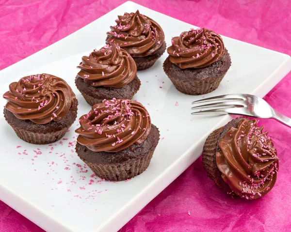 Σοκολάτα cupcakes με ψεκάζει ροζ καρύδας — Φωτογραφία Αρχείου