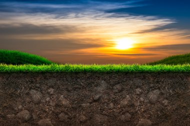 Soil and Grass in Sunset Background clipart