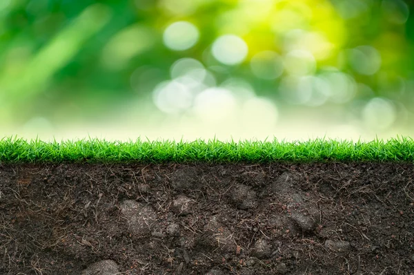 Boden und grünes Gras — Stockfoto