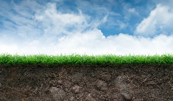 Soil and Grass in Blue Sky — Stock Photo, Image