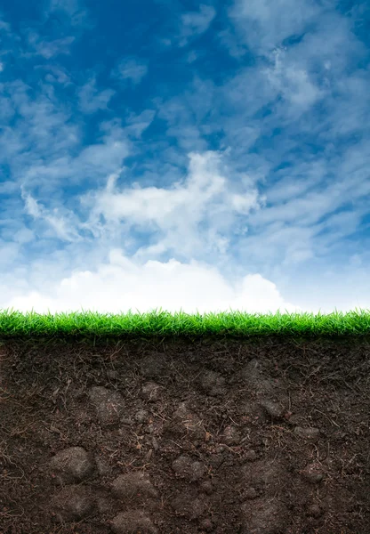 Erde mit Gras am blauen Himmel — Stockfoto