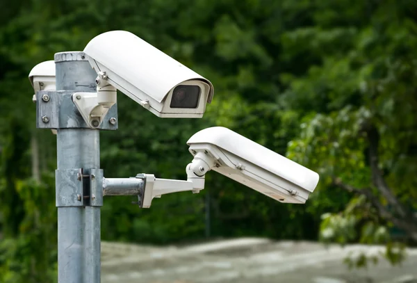 Security Cameras Group — Stock Photo, Image