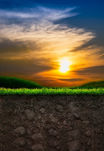 Soil with Grass in Sunset Background — Stock Photo, Image