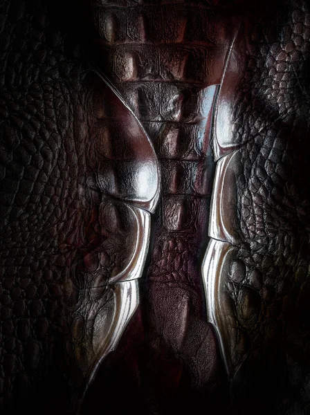 Textura de piel de dinosaurio — Foto de Stock