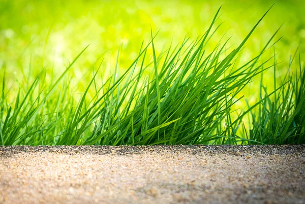 Klumpen grünen Grases — Stockfoto