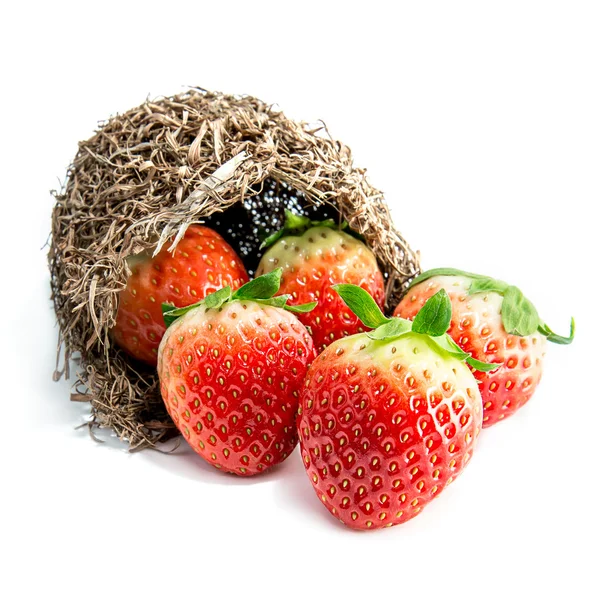 Fresh strawberries fruit — Stock Photo, Image