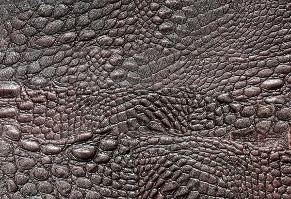 Crocodile leather — Stock Photo, Image