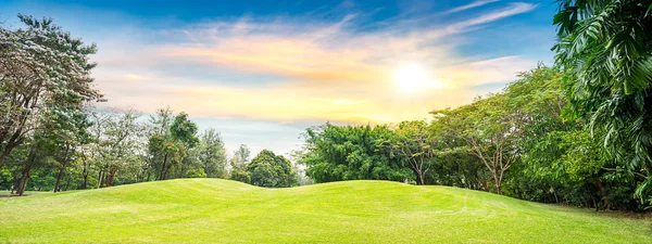 Árvore no campo de golfe — Fotografia de Stock