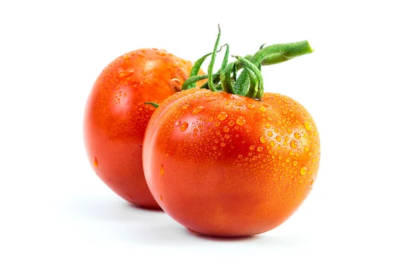 Свіжі помідори з падіння — Stock Fotó