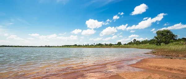 Forest and lake — Stock Photo, Image