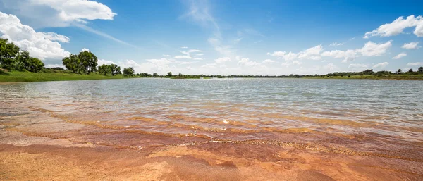 Forest and lake — Stock Photo, Image