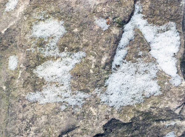 Камінь Вкритий Снігом Сніг Камені — стокове фото