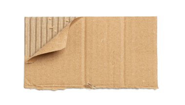 Kraft cardboard piece ripped edge. Isolated on white background